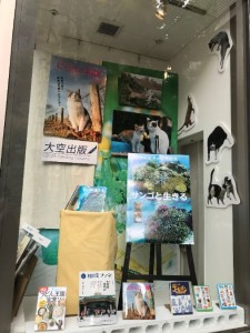 文化産業信用組合の広告スペースの展示物を一部変更しました