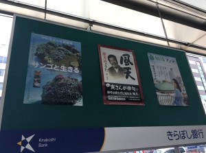 きらぼし銀行神田中央支店で、大空出版の書籍を展示中!!(~6月30日まで)