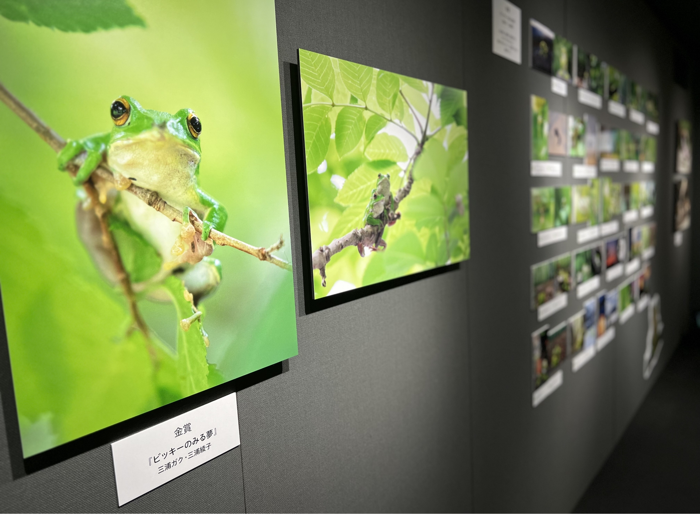 「写真絵本の世界」展が始まりました（東京・竹橋）