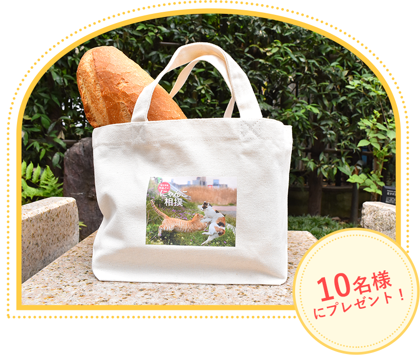 毎月10名様にプレゼント！