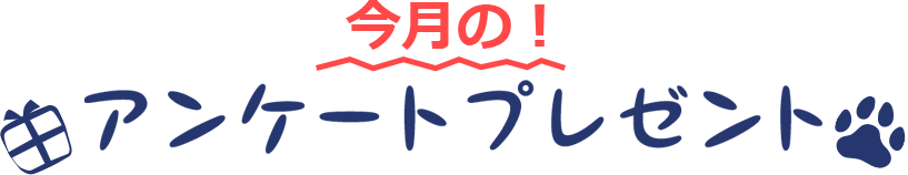 今月の！アンケートプレゼント 