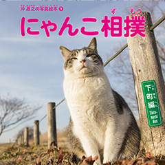 大空出版では、『沖 昌之の写真絵本1 にゃんこ相撲〈下町編〉』を4/25（木）に配本いたしました。