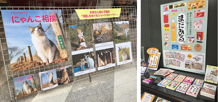 6月中、きらぼし銀行神田中央支店のロビーにて、大空出版の書籍を展示致します。