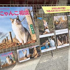 6月中、きらぼし銀行神田中央支店のロビーにて、大空出版の書籍を展示致します。