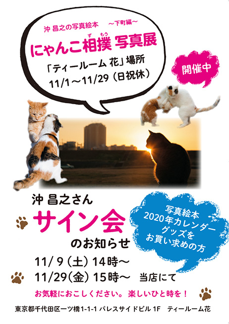 「にゃんこ相撲」写真展を11/1(金)~11/29(金)に開催しています!