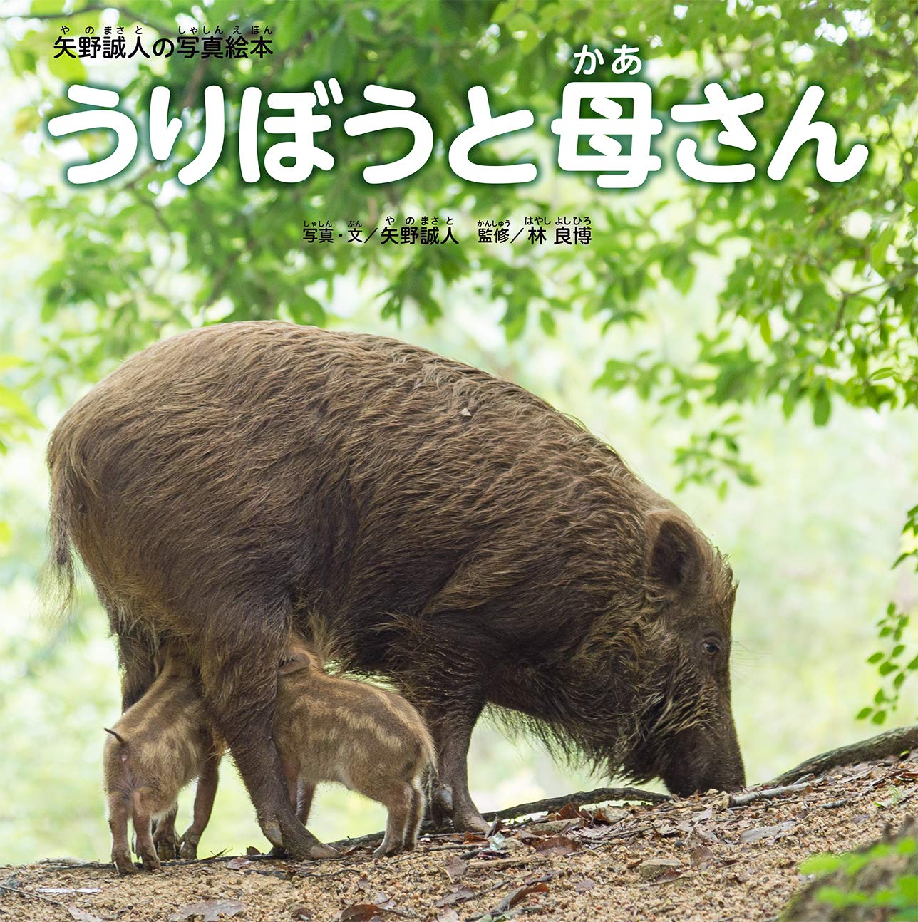 『うりぼうと母さん』が富山市立図書館のこども版「としょかんだより」で紹介されました。  