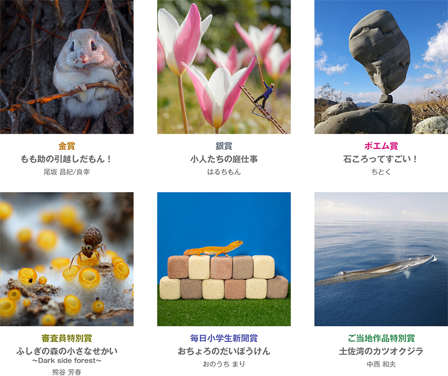 第3回 日本写真絵本大賞の受賞作品、全6作品を発表しました
