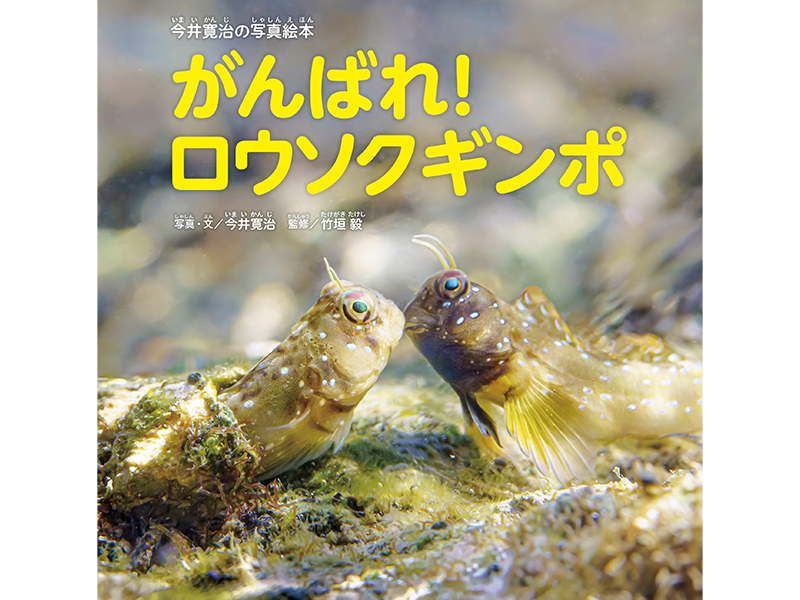 Pemenang The 2nd Japan Photographic Picture Book Grand Award「密着!!うりぼうの1日」