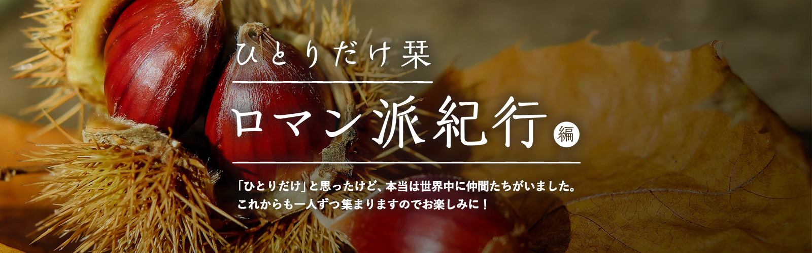 ひとりだけ栞 ロマン派紀行編